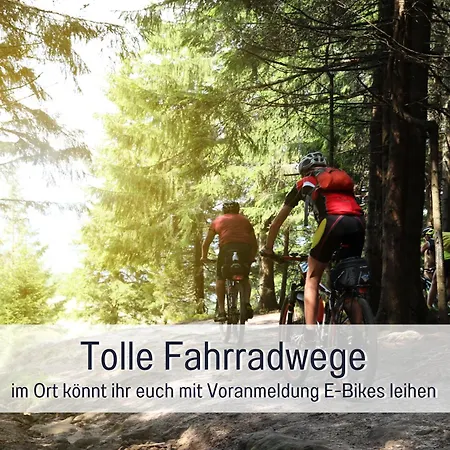 Natur-chalet Zum Nationalpark Marie-luise Inkl E-auto Allenbach
