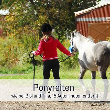 Natur-chalet Zum Nationalpark Marie-luise Inkl E-auto * Allenbach