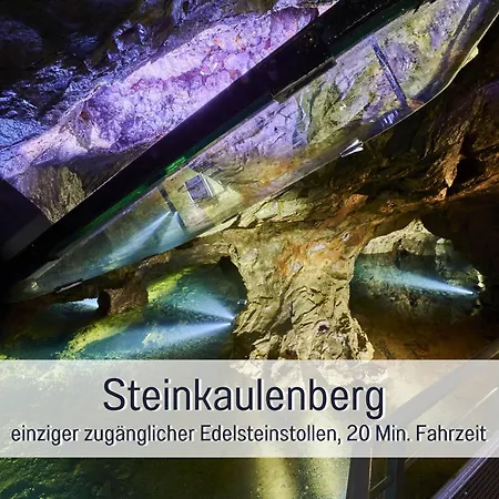 Natur-chalet Zum Nationalpark Marie-luise Inkl E-auto 別荘 Allenbach