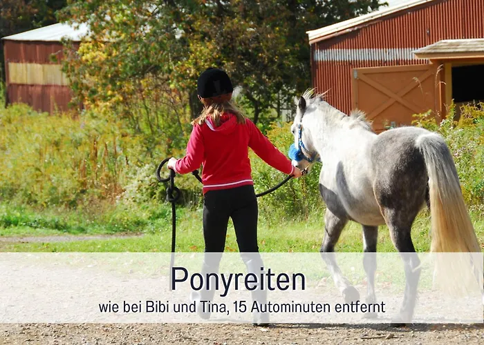 Natur-chalet Zum Nationalpark Marie-luise Inkl E-auto * Allenbach